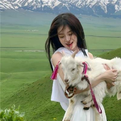 大白鲨第三集